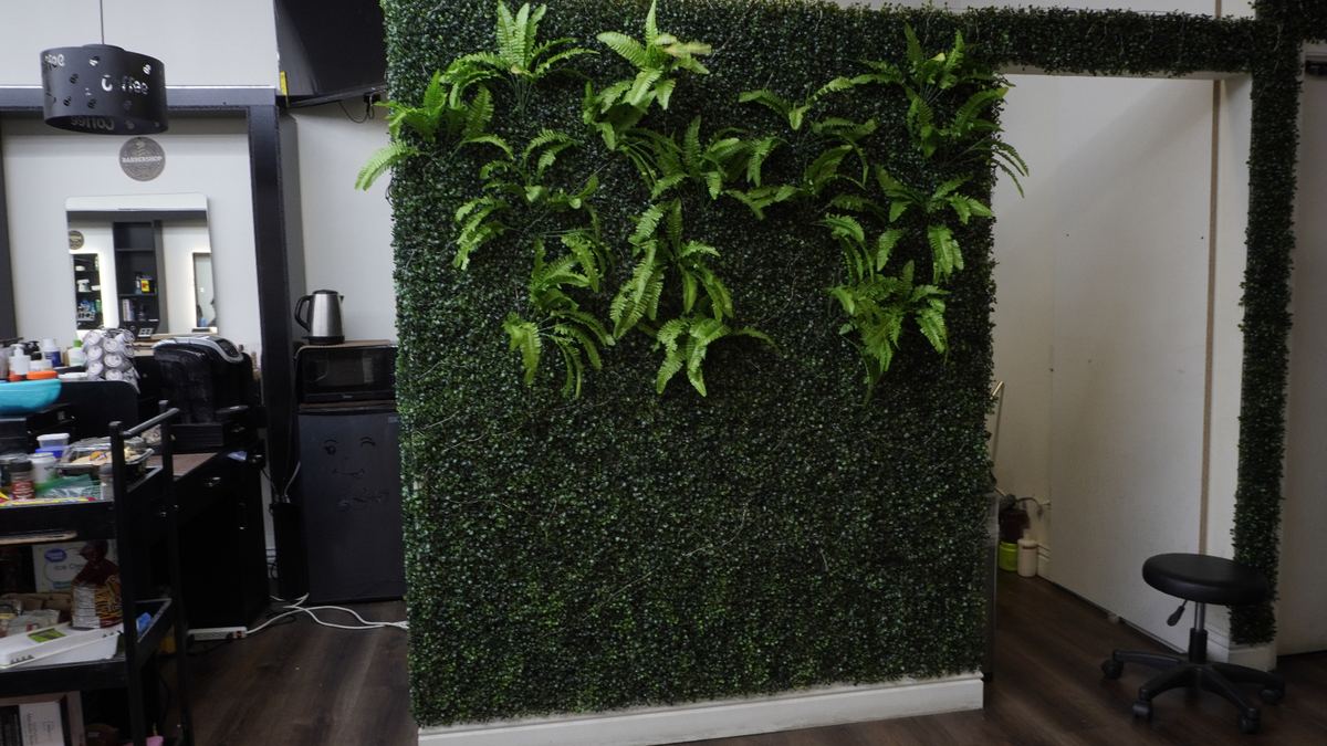 Living fern wall accent